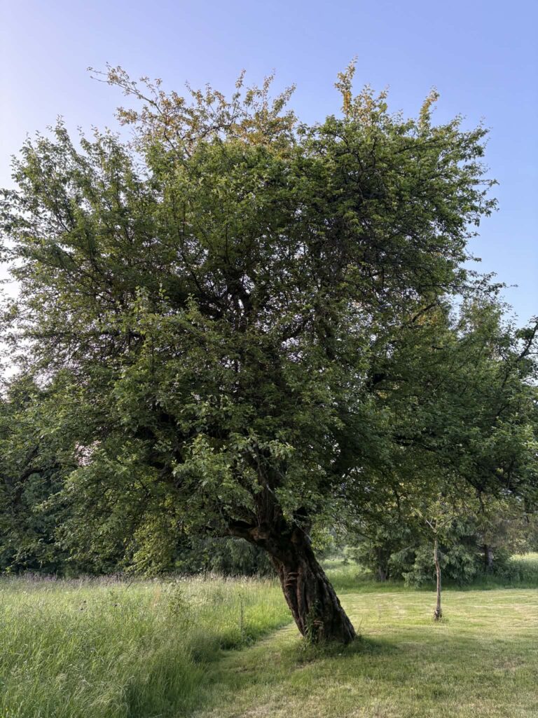 074b18dd e03e 412b 9e8f 0636f373a5f3