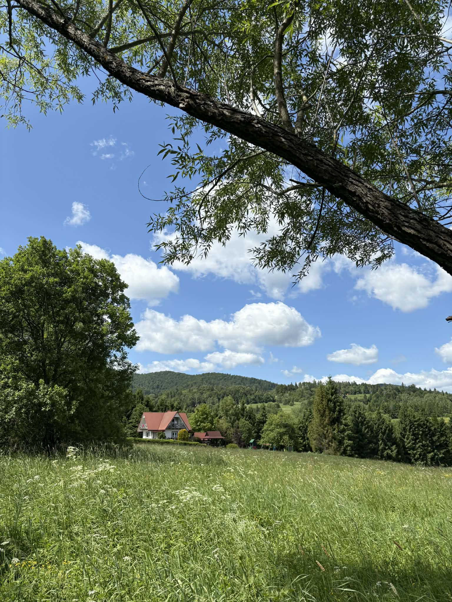 0deace7e 9b7c 44fa 9848 df60be6ba436 (1)