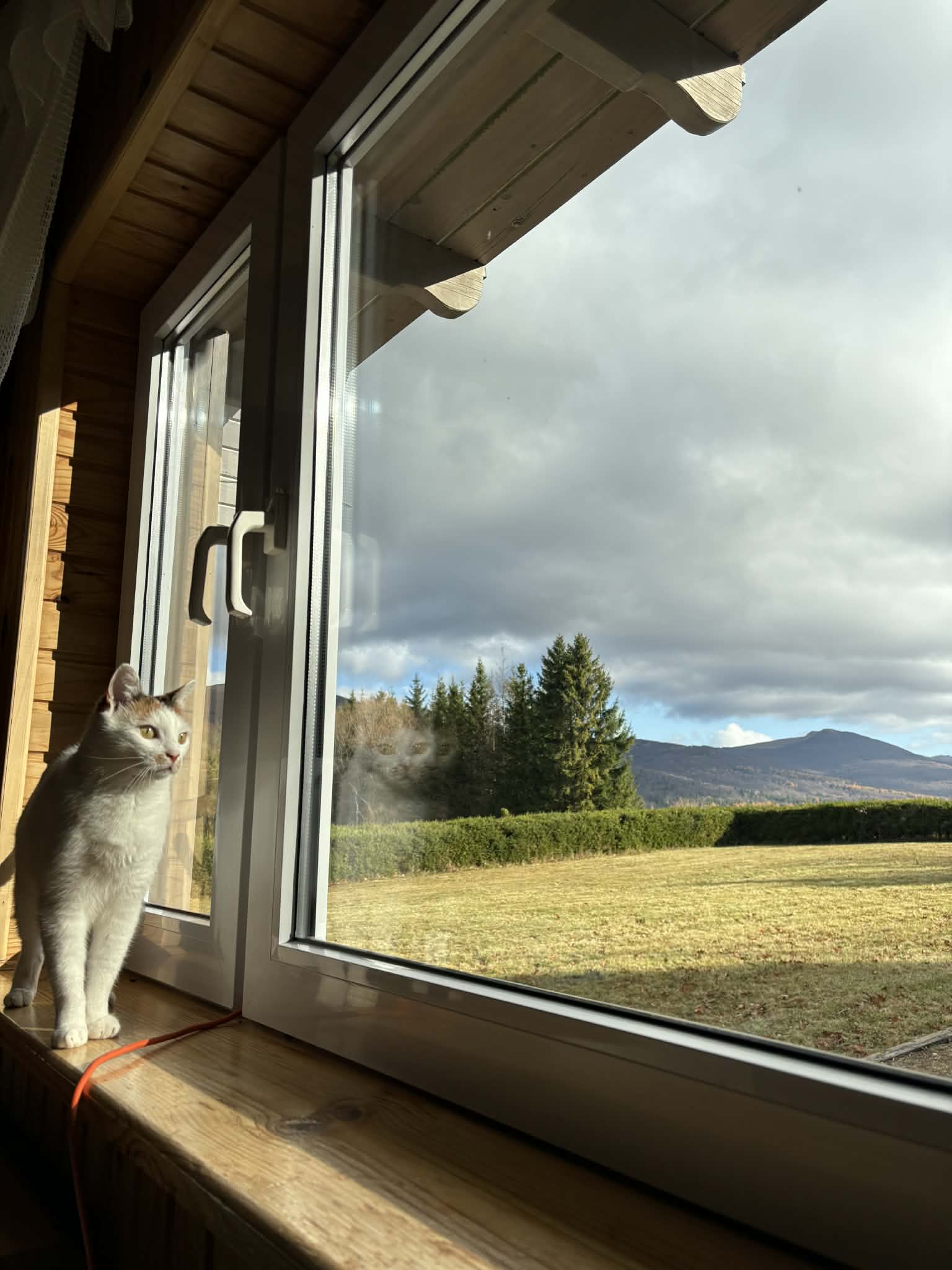 3ea85256 054d 4e96 8663 440f2c4a0a2c