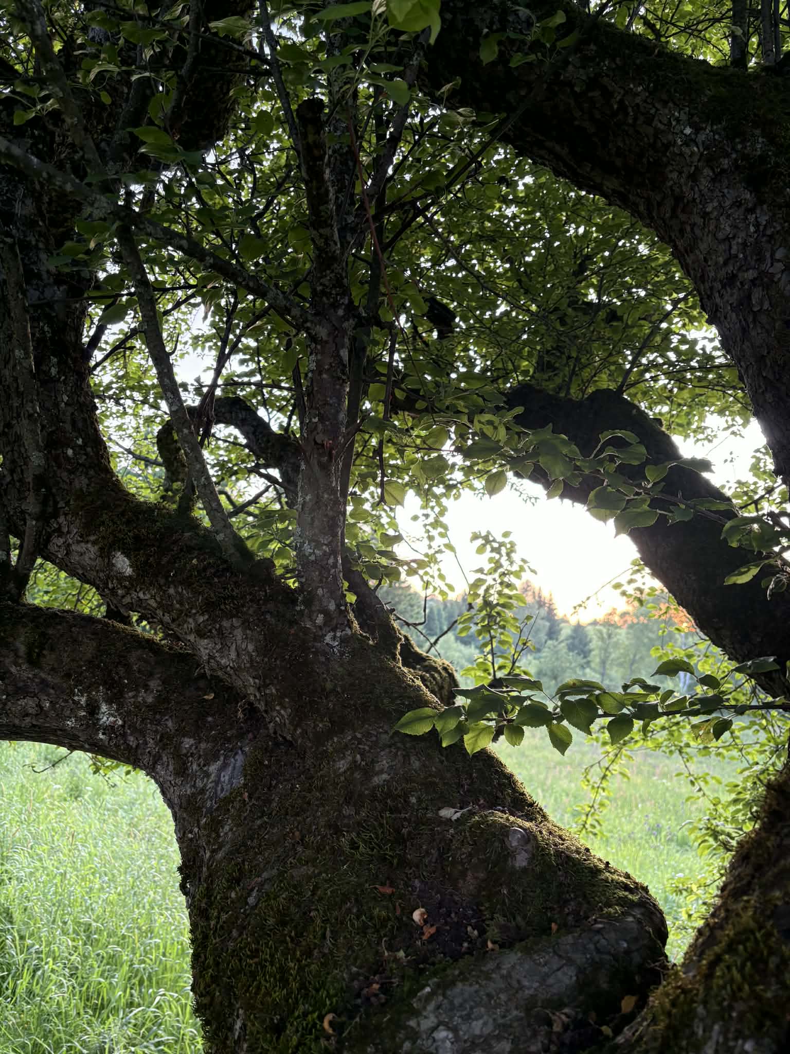 4f534816 67f2 4eff 94c6 b95bac915e5c