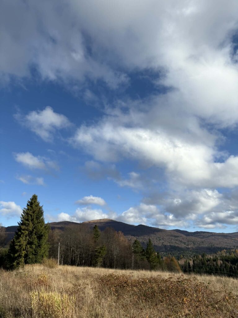 55623afb d09f 4dfb 91c4 27c552558af7 (3)