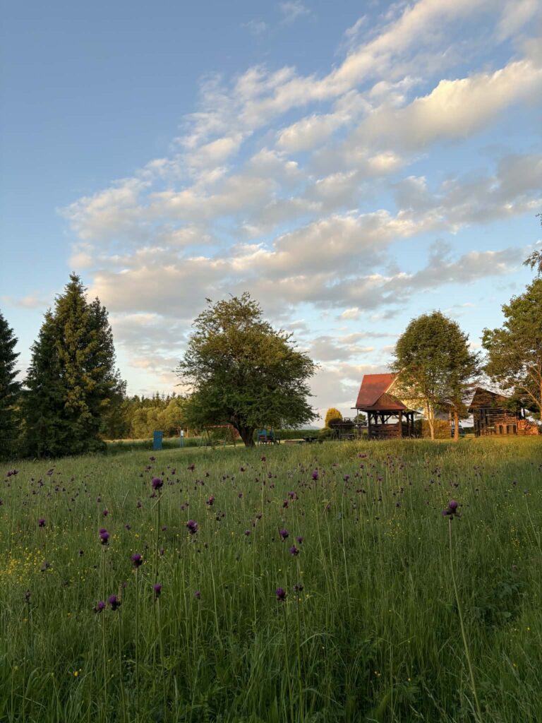 6d4a7400 8c6b 49de a4f2 f9617c3af362