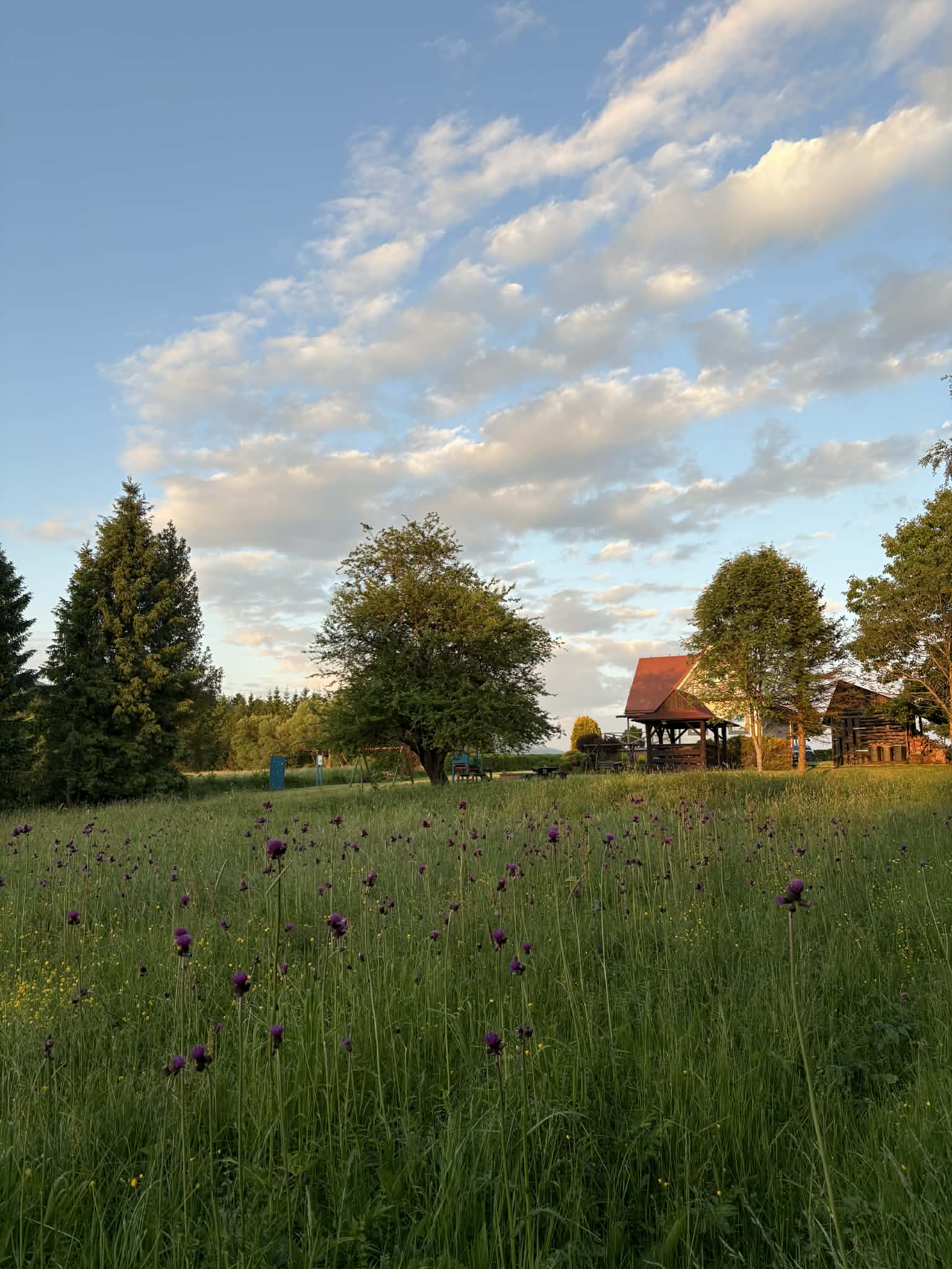 6d4a7400 8c6b 49de a4f2 f9617c3af362