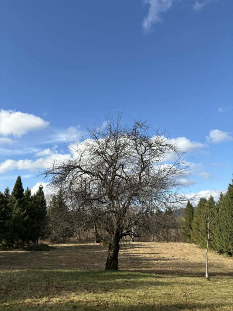 7c39a6df fbc6 45a6 8330 ff81dc4ae5ad