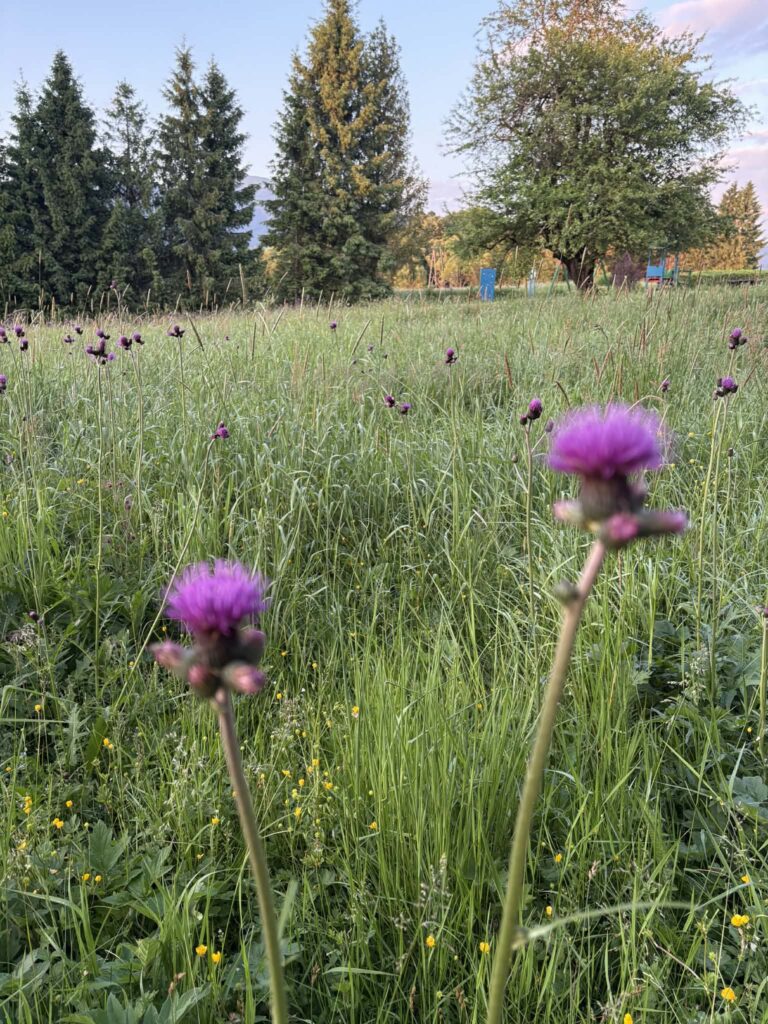 7e436c67 41ed 4d24 90f2 3cd10a0e05a3 (1)