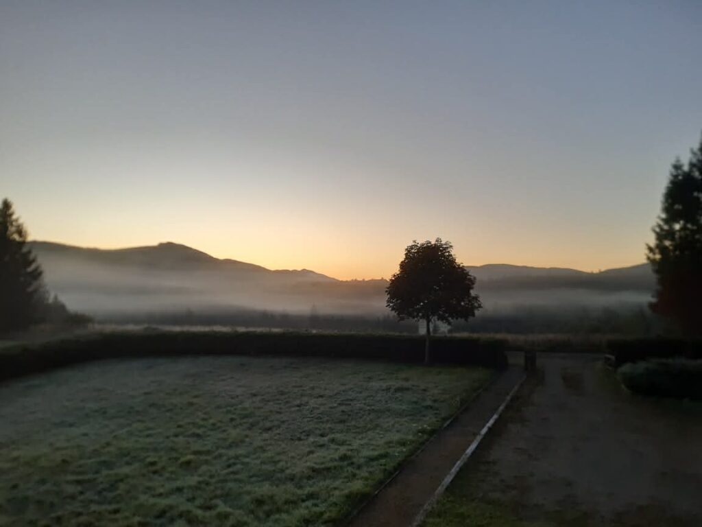 Stara Jabłoń Domek w Bieszczadach