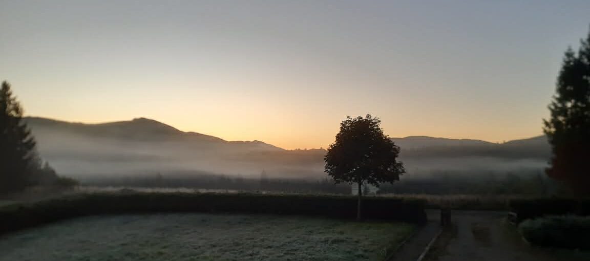 Stara Jabłoń Domek w Bieszczadach
