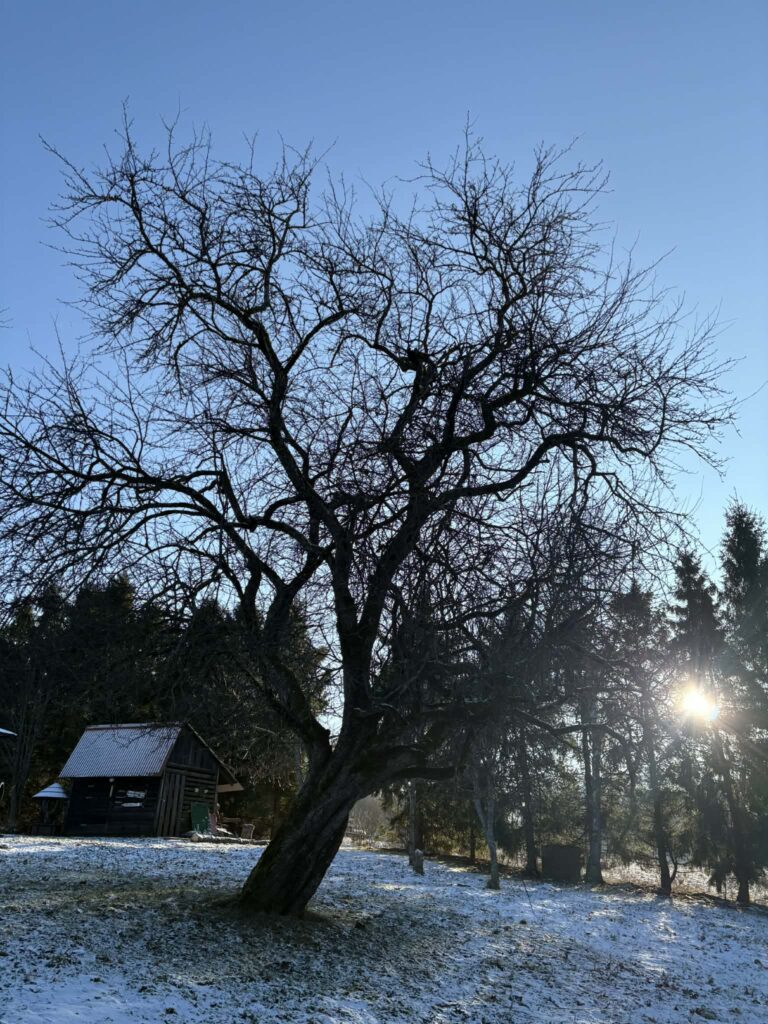 a35e3bb3 156f 4012 844d afc12212e7b8