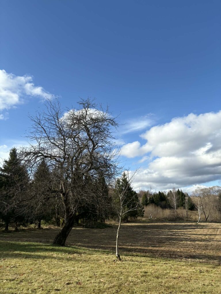 a473a024 1d64 45e5 8d54 e9f5bb98ef4a