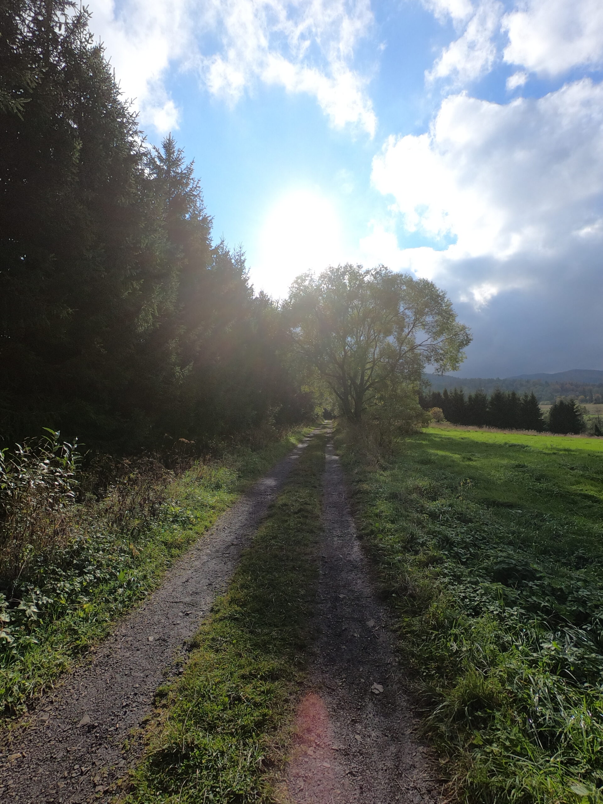 Najbliższa okolica (do 4 km) dcim100goprogopr2026.jpg