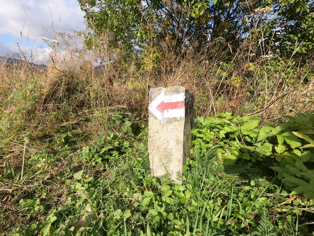 Najbliższa okolica (do 4 km) dcim100goprogopr2030.jpg