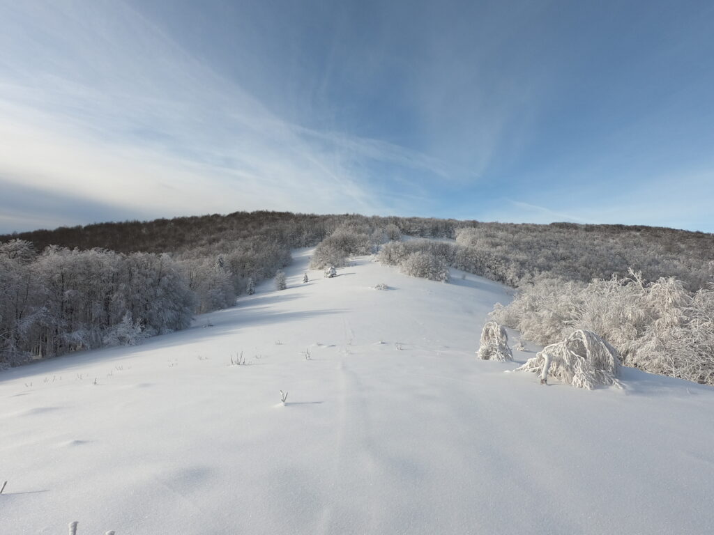 Łąki przed wypłaszczeniem Pod Okrąglikiem
