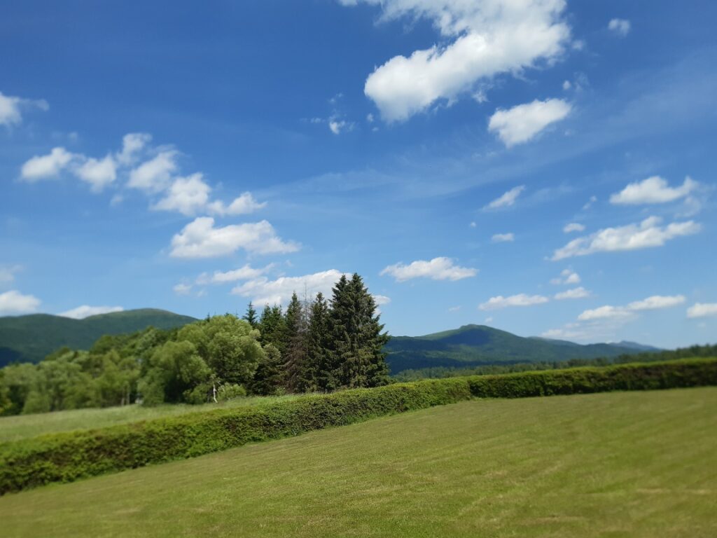 Najbliższa okolica (do 4 km) Smerek 52