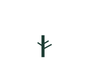 stara jabłoń kopia kopia kopia